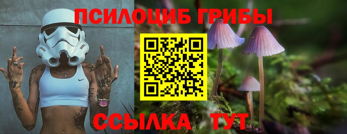 Псилоцибиновые грибы ЛСД  Вход с VPN  Галлюциногенные грибы MAGIC MUSHROOMS  Уссурийск 